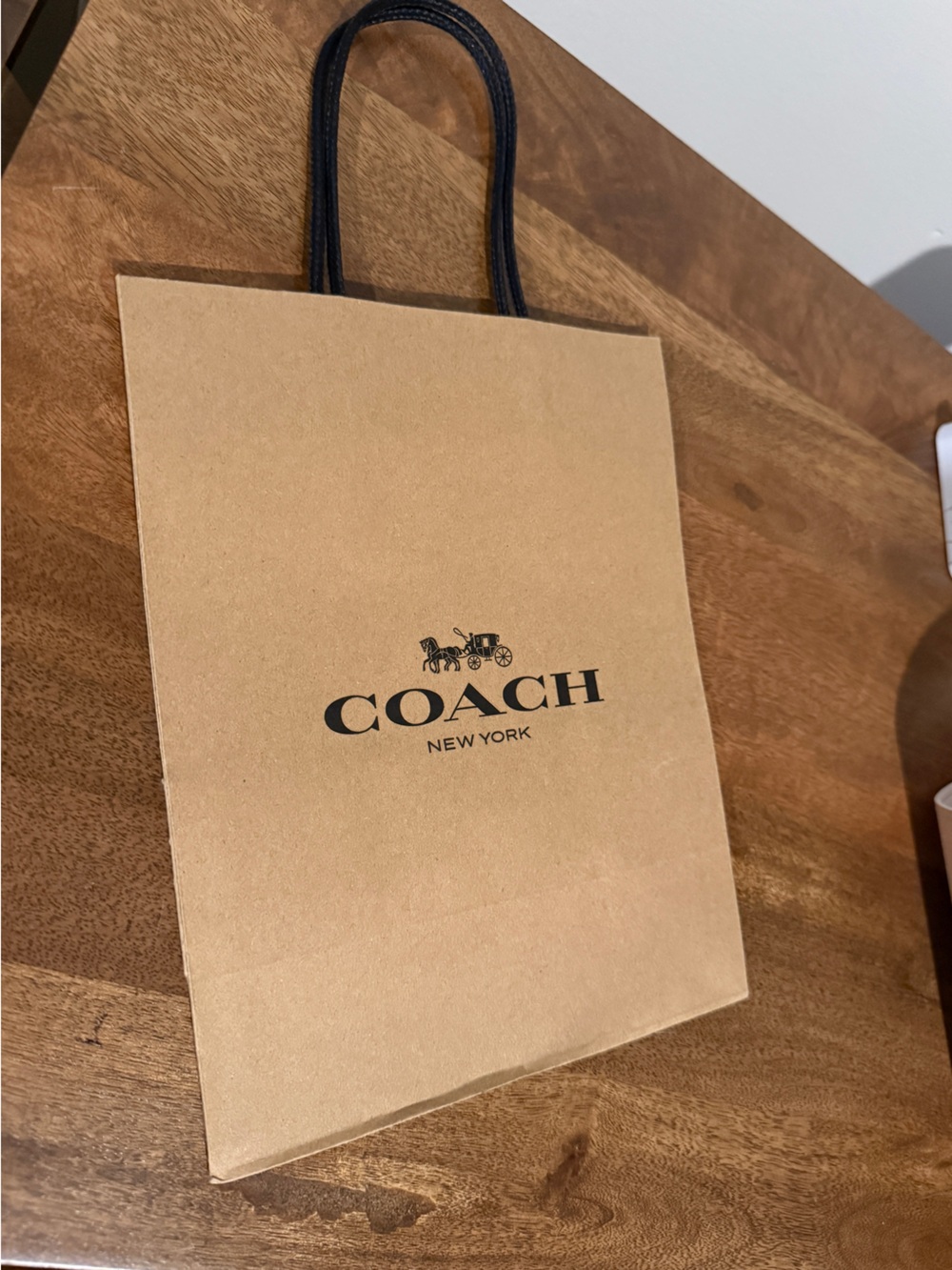 Coach Small/Med gift bag. 8 x 10 in. Iconic carriage logo in black. Handles.